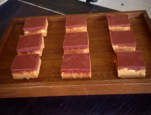 Chocolate Peanut Butter Squares